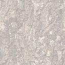 A_wall5.jpg [4447 octets]