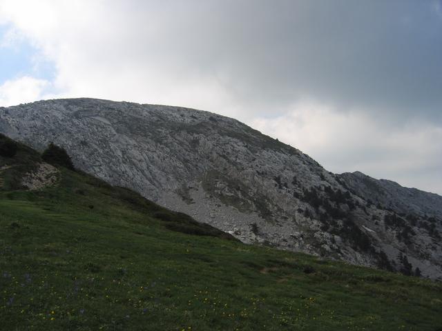 ste_5330