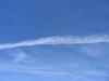 IMG_3546 IMG_3546