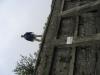 IMG_3597 IMG_3597