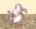 bunny.jpg [60Ko]