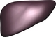 liver-visual.jpg [77Ko]