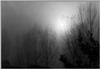 brume.jpg [26794 octets]